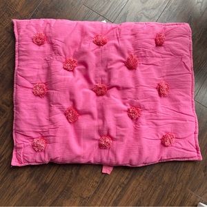 Pottery Barn Teen pillow sham